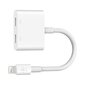 Belkin F8J198BTWHT цена и информация | USB jagajad, adapterid | kaup24.ee