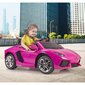 Elektriauto lastele Lamborghini Aventador 6V, Feber цена и информация | Laste elektriautod | kaup24.ee