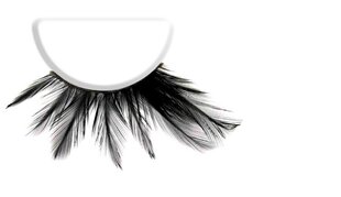 Dekoratiivripsmed Perfect Silk LashesTM Feather Eyelashes hind ja info | Kunstripsmed, ripsmekoolutajad | kaup24.ee