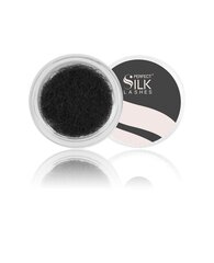 Perfect Silk Lashes, Шелковые ресницы 2500 J.12 черные 6 mm цена и информация | Накладные ресницы, керлеры | kaup24.ee