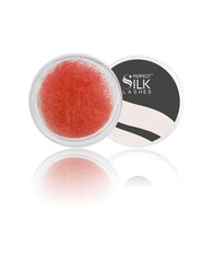 Kunstripsmed Perfect Silk Lashes 2500 J.12 Red, 10 mm цена и информация | Накладные ресницы, керлеры | kaup24.ee