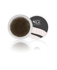 Perfect Silk Lashes, Шелковые ресницы 2500 J.12 коричневыe 13 mm цена и информация | Накладные ресницы, керлеры | kaup24.ee