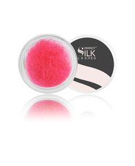 Kunstripsmed Perfect Silk Lashes 2500 J.15 Pink, 12 mm hind ja info | Kunstripsmed, ripsmekoolutajad | kaup24.ee