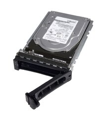 Dell 400-ATKJ цена и информация | Внутренние жёсткие диски (HDD, SSD, Hybrid) | kaup24.ee