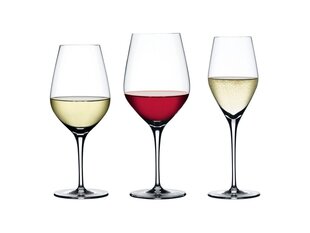 Defektiga toode. Spiegelau Authentis veiniklaasid, 12 klaasi hind ja info | Defektiga tooted | kaup24.ee
