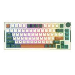 Wireless mechanical keyboard Royal Kludge RKH81 RGB, Sky cyan switch (green) цена и информация | Клавиатуры | kaup24.ee