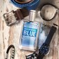 Tualettvesi Avon Individual Blue EDT meestele, 100 ml hind ja info | Meeste parfüümid | kaup24.ee