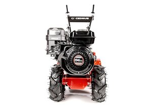 Бензиновый культиватор для почвы CEDRUS 48cm Loncin H200 цена и информация | Культиваторы, мотоблоки, аэраторы | kaup24.ee