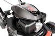 Bensiinimootoriga muruniiduk Cedrus, 53cm Honda GCV200 3in1 hind ja info | Muruniidukid | kaup24.ee
