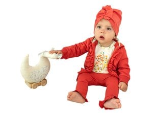 Tüdrukute komplekt Nini, BB-1 цена и информация | Комплекты одежды для новорожденных | kaup24.ee