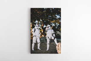 Репродукция Штурмовики (Stormtroopers) 100x150 см цена и информация | Настенные деревянные декорации | kaup24.ee