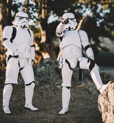 Репродукция Штурмовики (Stormtroopers) 100x150 см цена и информация | Настенные деревянные декорации | kaup24.ee