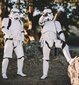 Pilt Stormtroopers цена и информация | Seinapildid | kaup24.ee