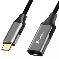 Reagle USB-C ja DisplayPort 4K 60Hz DP MAC adapteri kaabel hind ja info | USB jagajad, adapterid | kaup24.ee