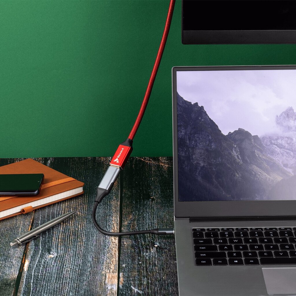Reagle USB-C ja DisplayPort 4K 60Hz DP MAC adapteri kaabel цена и информация | USB jagajad, adapterid | kaup24.ee