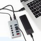 Reagle USB 3.1 PRO aktiivne 4-portiline USB-A adapter 36W цена и информация | USB jagajad, adapterid | kaup24.ee