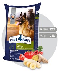 CLUB 4 PAWS Premium полнорационный сухой корм для взрослых собак рабочих, средних и крупных пород "SCOUT", 14 кг цена и информация |  Сухой корм для собак | kaup24.ee