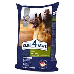 Club 4 Paws Premium kuivtoit täiskasvanud tööloomadele, keskmistele ja suurtele tõugudele "Scout" , 14kg цена и информация | Сухой корм для собак | kaup24.ee