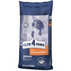 CLUB 4 PAWS Premium полнорационный сухой корм для взрослых собак средних пород, 20 кг цена и информация | Сухой корм для собак | kaup24.ee