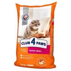 CLUB 4 PAWS PREMIUM полнорационный сухой корм для взрослых кошек с телятиной, 14 кг цена и информация | Сухой корм для кошек | kaup24.ee