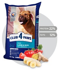 CLUB 4 PAWS Premium полнорационный сухой корм для взрослых собак всех пород с ягненком и рисом, 14 кг цена и информация | Сухой корм для собак | kaup24.ee