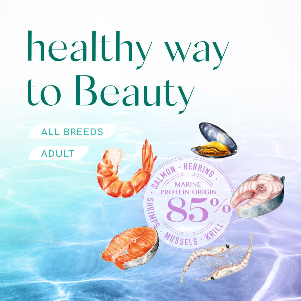 Optimeal Beauty Harmony teraviljavaba kassitoit meretoidu koostisega, 4 kg цена и информация | Kuivtoit kassidele | kaup24.ee