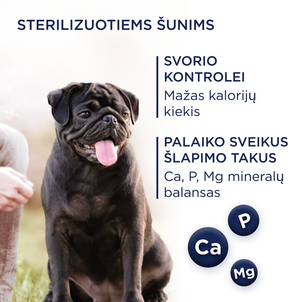 Club 4 Paws Premium täistoit väikest tõugu täiskasvanud, steriliseeritud või kastreeritud ja ülekaalulisusele kalduvatele koertele kõrge kalkunisisaldusega Light, 5 kg цена и информация | Kuivtoit koertele | kaup24.ee