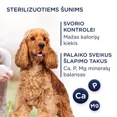 Club 4 Paws Premium полнорационный сухой корм для взрослых собак средних и крупных пород, стерилизованных и склонных к ожирению, с высоким содержанием индейки Light, 5 кг цена и информация |  Сухой корм для собак | kaup24.ee