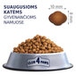 Club 4 Paws Premium täistoit täiskasvanud sisekassidele Indoor 4 in 1, 2 kg hind ja info | Kuivtoit kassidele | kaup24.ee