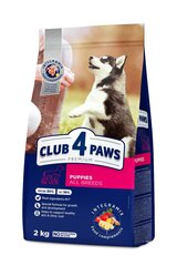 Club 4 Paws kõikidele tõugudele kanaga, 2 kg hind ja info | Kuivtoit koertele | kaup24.ee