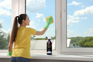 Средство для мытья окон, Alinco, 1 л цена и информация | Скрабы | kaup24.ee