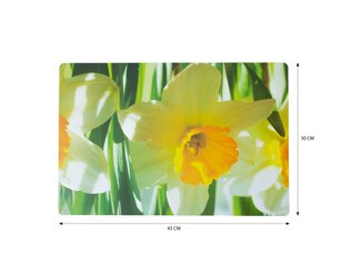 Lauamatt Alinco, 4 tk, 45x30 cm цена и информация | Скатерти, салфетки | kaup24.ee