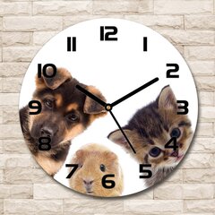 Настенное часы Quid, животные, деревянные (34 cм) цена и информация | Часы | kaup24.ee