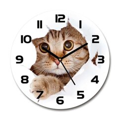 Часы настенные Кот цена и информация | Часы | kaup24.ee