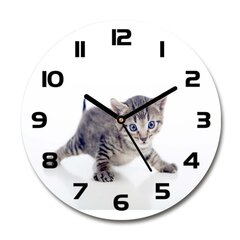 Klaasist seinakell Väike kass, 30cm цена и информация | Часы | kaup24.ee