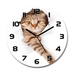 Часы настенные Кот цена и информация | Часы | kaup24.ee