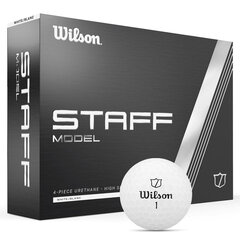 Набор мячиков для гольфа Wilson Staff Model, 12 шт. цена и информация | Golf | kaup24.ee