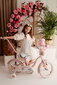Tüdrukute jalgratas 16 tolli Silver Moon, roosa цена и информация | Jooksurattad | kaup24.ee