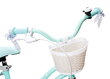 Tüdrukute jalgratas 14-tolline Silver Moon, mint цена и информация | Jooksurattad | kaup24.ee