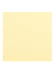 Värviline papp, A3, 20 tk., 170g/m2, vanilje hind ja info | Vihikud, märkmikud ja paberikaubad | kaup24.ee