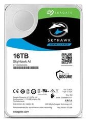 Seagate ST16000VE000 hind ja info | Sisemised kõvakettad (HDD, SSD, Hybrid) | kaup24.ee