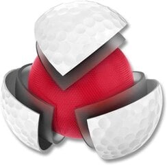 Набор мячей для гольфа Wilson W/S Triad, 12 штук цена и информация | Golf | kaup24.ee