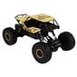 Puldiauto Buggy LeanToys hind ja info | Poiste mänguasjad | kaup24.ee