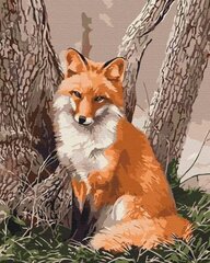 Symag numbrimaal The Fox in the Forest hind ja info | Maalid numbri järgi | kaup24.ee
