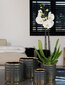 Keraamiline lillepott Chrysi, 18x18 cm цена и информация | Dekoratiivsed lillepotid | kaup24.ee