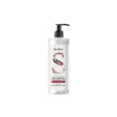 Шампунь для непослушных и вьющихся волос Renee Blanche Perfect Straight Professiona Shampoo, 500 ml цена и информация | Шампуни | kaup24.ee