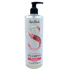 Kaitsev šampoon värvitud juustele Renee Blanchee Protective Professional Shampoo, 500 ml hind ja info | Šampoonid | kaup24.ee