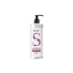 Šampoon õrnaks sügavpuhastuseks Renee Blanchee Normal Hair Professional Shampoo, 500 ml цена и информация | Шампуни | kaup24.ee