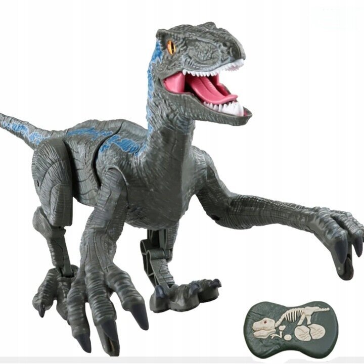 Velociraptor dinosaurus kaugjuhtimispult usb port helid QX024SZ hind ja info | Poiste mänguasjad | kaup24.ee