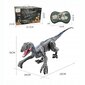 Velociraptor dinosaurus kaugjuhtimispult usb port helid QX024SZ hind ja info | Poiste mänguasjad | kaup24.ee